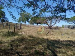 Fazenda / Sítio / Chácara à venda, 2492600m² no Zona Rural, Luziânia - Foto 10