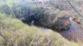 Fazenda / Sítio / Chácara à venda, 1694000m² no Vila Rezende, Piracicaba - Foto 5