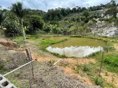 Fazenda / Sítio / Chácara com 3 Quartos à venda, 5000m² no Zona Rural, Marechal Floriano - Foto 12