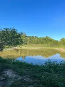 Fazenda / Sítio / Chácara à venda no , Itapecuru Mirim - Foto 2