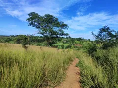 Fazenda / Sítio / Chácara à venda, 60000m² no Zona Rural, Glória do Goitá - Foto 6