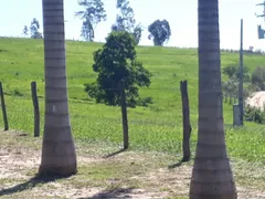 Fazenda / Sítio / Chácara com 3 Quartos à venda, 70m² no , São Pedro - Foto 12