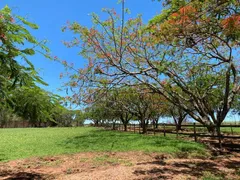 Fazenda / Sítio / Chácara à venda, 84600m² no , Boa Esperança do Sul - Foto 1