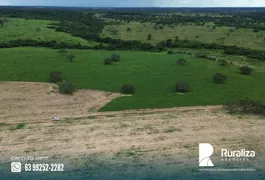 Fazenda / Sítio / Chácara à venda, 145m² no Zona Rural, Goianorte - Foto 7