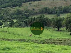 Fazenda / Sítio / Chácara com 2 Quartos à venda, 11083600m² no Zona Rural, Prata - Foto 6