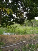 Fazenda / Sítio / Chácara à venda, 49000m² no Area Rural de Valparaiso de Goias, Valparaíso de Goiás - Foto 8