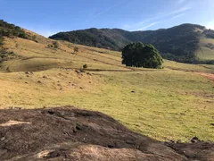 Terreno / Lote / Condomínio à venda, 20000m² no Centro, Paraisópolis - Foto 6