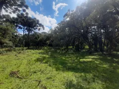 Terreno / Lote / Condomínio à venda no Contenda, São José dos Pinhais - Foto 15