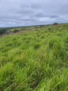 Fazenda / Sítio / Chácara com 4 Quartos à venda, 40000m² no Zona Rural, Monte Alegre - Foto 5