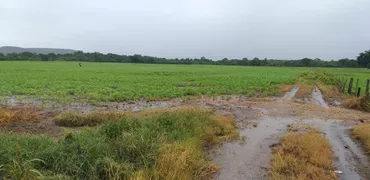 Fazenda / Sítio / Chácara com 7 Quartos à venda no , Vila Propício - Foto 22