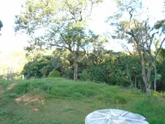 Fazenda / Sítio / Chácara com 2 Quartos à venda, 150m² no Serra da Cantareira, Mairiporã - Foto 29