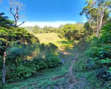 Fazenda / Sítio / Chácara à venda, 96000m² no Dom Joaquim, Brusque - Foto 9