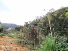 Fazenda / Sítio / Chácara com 2 Quartos à venda, 152000m² no Serra, Teresópolis - Foto 33
