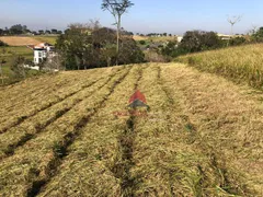 Terreno / Lote / Condomínio à venda, 1000m² no Parque Residencial Jequitiba, Jacareí - Foto 5