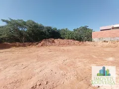 Terreno / Lote / Condomínio à venda, 326m² no Parque São José, Vinhedo - Foto 6