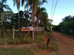 Fazenda / Sítio / Chácara com 1 Quarto à venda, 5000m² no Panorama, Uberlândia - Foto 6