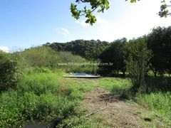 Fazenda / Sítio / Chácara com 2 Quartos à venda, 45000m² no Maraporã, Cachoeiras de Macacu - Foto 8