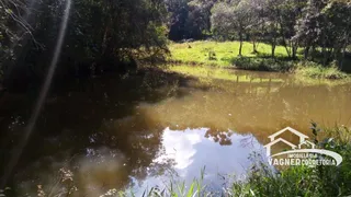 Fazenda / Sítio / Chácara com 4 Quartos à venda, 968000m² no Rocinha, Guaratinguetá - Foto 17