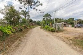 Terreno / Lote Comercial à venda, 6000m² no Area Rural de Sao Jose dos Pinhais, São José dos Pinhais - Foto 21