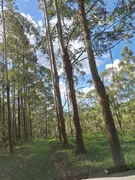 Fazenda / Sítio / Chácara à venda, 530000m² no Zona Rural, Oliveira - Foto 9