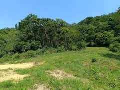 Fazenda / Sítio / Chácara à venda, 75000m² no Ilha de Guaratiba, Rio de Janeiro - Foto 22