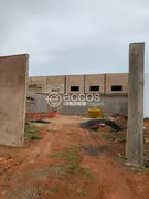 Galpão / Depósito / Armazém à venda, 360m² no Segismundo Pereira, Uberlândia - Foto 14