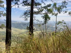 Fazenda / Sítio / Chácara à venda, 12160m² no Parque Mirante de Parnaiba, Santana de Parnaíba - Foto 1