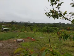 Fazenda / Sítio / Chácara com 2 Quartos à venda, 4500m² no Gama, Brasília - Foto 5