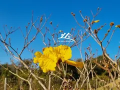 Terreno / Lote / Condomínio à venda, 1030m² no Casa Branca, Brumadinho - Foto 14