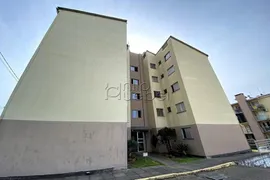 Apartamento com 2 Quartos para alugar, 43m² no Pinheiro, São Leopoldo - Foto 19