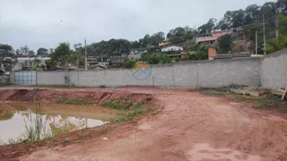 Terreno / Lote / Condomínio à venda, 1990m² no Palmeiras, Juquitiba - Foto 3