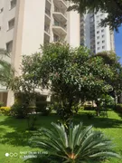 Apartamento com 2 Quartos à venda, 78m² no Vila Amália, São Paulo - Foto 25