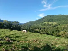 Fazenda / Sítio / Chácara com 1 Quarto à venda, 150m² no , Canela - Foto 27