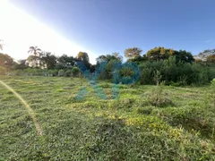 Fazenda / Sítio / Chácara com 2 Quartos à venda, 60m² no Zona Rural, São Sebastião do Oeste - Foto 9