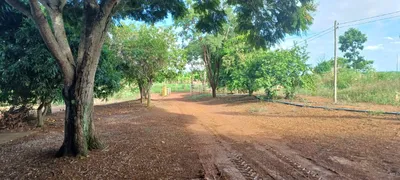 Fazenda / Sítio / Chácara com 2 Quartos à venda, 420000m² no Paranoá, Brasília - Foto 49