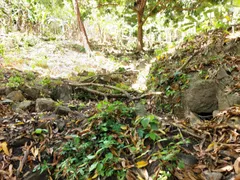 Fazenda / Sítio / Chácara à venda, 1920000m² no , Guaiúba - Foto 18