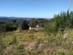 Fazenda / Sítio / Chácara à venda, 30000m² no Vila Jardim, Gramado - Foto 10