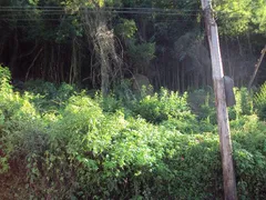 Terreno / Lote Comercial à venda no Galópolis, Caxias do Sul - Foto 5