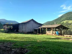 Fazenda / Sítio / Chácara com 1 Quarto à venda, 150m² no , Canela - Foto 32