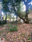 Terreno / Lote / Condomínio à venda, 300m² no Vila Mascote, São Paulo - Foto 14