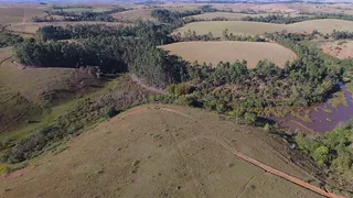 Fazenda / Sítio / Chácara à venda, 50000m² no Ibitioca, Campos dos Goytacazes - Foto 8