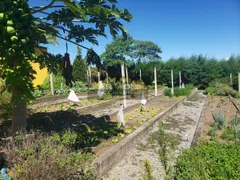 Fazenda / Sítio / Chácara com 4 Quartos à venda, 36000m² no Area Rural de Mogi das Cruzes, Mogi das Cruzes - Foto 30