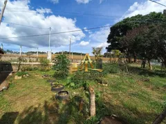Fazenda / Sítio / Chácara com 3 Quartos à venda, 170m² no Zona Rural, Turvolândia - Foto 38