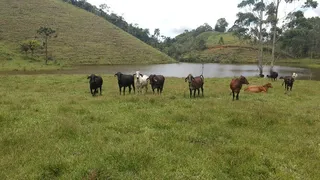 Fazenda / Sítio / Chácara com 2 Quartos à venda, 240000m² no Pouso Alto, Natividade da Serra - Foto 8