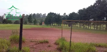 Terreno / Lote / Condomínio para venda ou aluguel, 6500m² no Chácara Maria Trindade, São Paulo - Foto 3