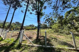 Terreno / Lote / Condomínio à venda, 4400m² no Morada Dos Pássaros, Poços de Caldas - Foto 4