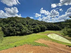 Fazenda / Sítio / Chácara à venda, 20000m² no Saltinho, Campo Alegre - Foto 5