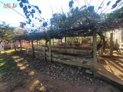 Fazenda / Sítio / Chácara com 3 Quartos à venda, 7500m² no Morungava, Gravataí - Foto 32