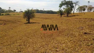 Fazenda / Sítio / Chácara à venda, 726000m² no , Anicuns - Foto 26