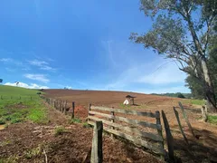 Fazenda / Sítio / Chácara com 4 Quartos à venda, 100m² no Zona Rural, Ouro Fino - Foto 4